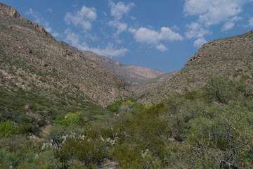 Fototapeta na wymiar Horizontal view of Dog Canyon