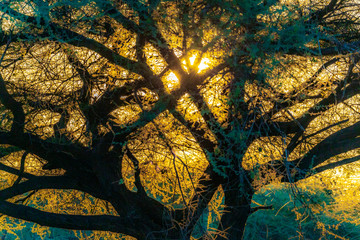 Coucher de soleil en Namibie
