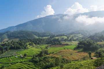 Fototapeta premium Terraced rice fields village