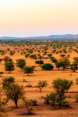 Fototapeta premium Coucher de soleil au Waterberg en Namibie