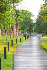 Wooden pathway in the Fushan Park of Jiangmen, south China’s Guangdong province.