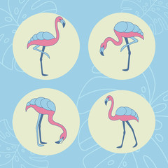 Основные RGB