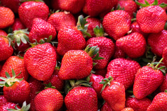 Strawberry in various sizes, red color background in freshness.