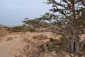 Sumhuram Archaeological Park, Taqah, Dhofar, Oman