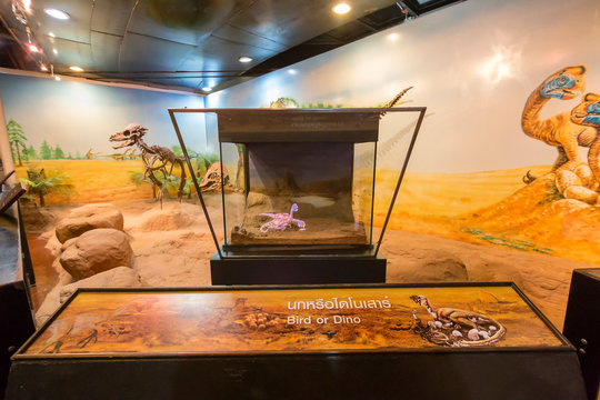 THAILAND, KALASIN - NOVEMBER 03, 2019: A video booth showing the life of animals in the dinosaur age. Sirindhorn Museum, Phu Kum Khao Dinosaur Research Center.