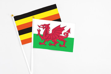 Wales and Uganda stick flags on white background. High quality fabric, miniature national flag. Peaceful global concept.White floor for copy space.