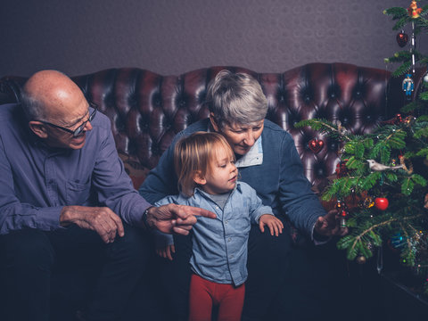 Grandparents and toddler by christmas tree