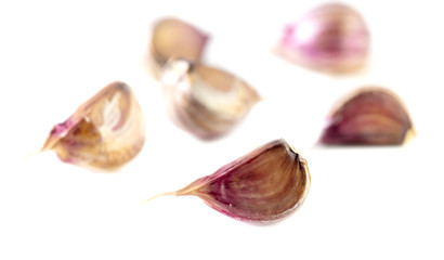 Garlic isolated on a white background