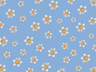 Floral flower background with daises chamomiles