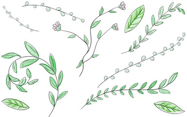  Green leaves and branches in a watercolor style with a black outline.