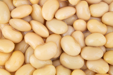Cooked white beans background