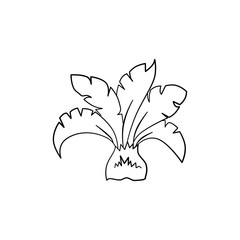 line art of mini palm with leaves