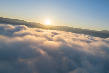 Nature  fly in sky. © GIS