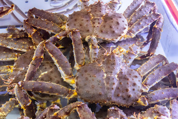 Alive snow crabs at local fish market