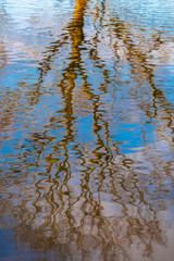 Baumspiegelungen auf der Wasseroberfläche