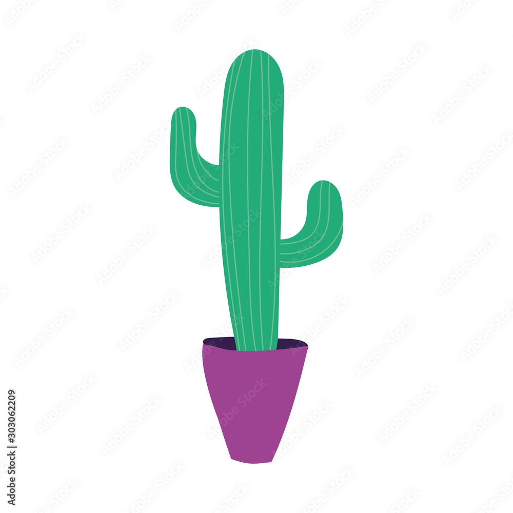 Poster mexican cactus plant nature icon