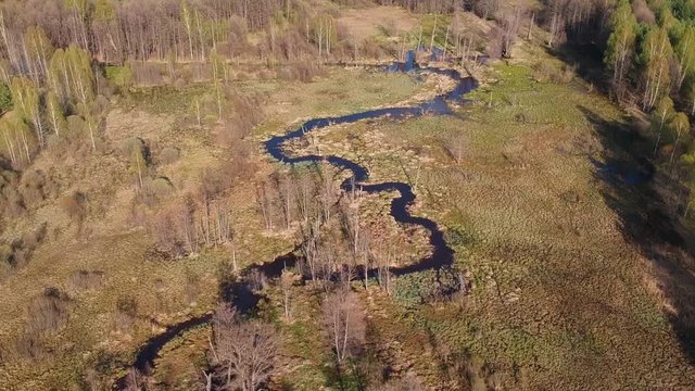 Flying over a small and winding river in the forest on a spring day, a view from a height