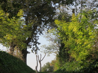 Paesaggio naturale
