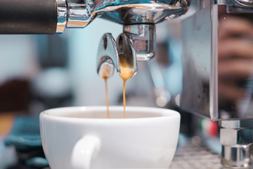 Coffee drips into coffee cup from Espresso Machine