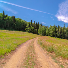 Fototapeta na wymiar Square Hiking trails amid grasses on a mountain in Park City Utah during off season