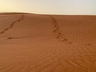 footprints in the sand in the desert