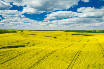 Aerial view of stunning yellow rape fields, Poland
