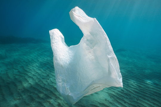 Blank white die-cut small plastic bag with handle hole mockup, 3d  rendering. Empty polyethylene parcel with food mock up, isolated, side  view. Clear s Stock Photo - Alamy