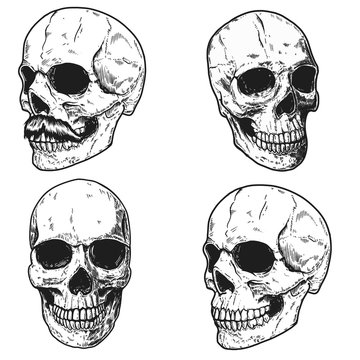 Set of hand drawn human skulls. Design element for poster, t shirt, card, banner, flyer. Vector illustratio