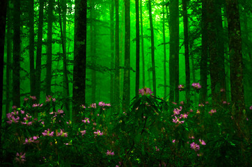 Fototapeta premium green floral background