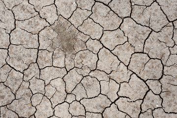 Dry cracked soil  by sun burn , arid , summer Thailand 