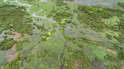 Aerial shot of typical Pantanal Wetlands landscape with lagoons, forests, meadows, river, Mato Grosso, Brazil