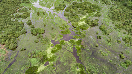 Aerial shot of typical Pantanal Wetlands landscape with lagoons, forests, meadows, river, Mato Grosso, Brazil