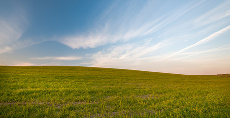 Obraz na płótnie Canvas Green field and Blue cloudy Sky Environment