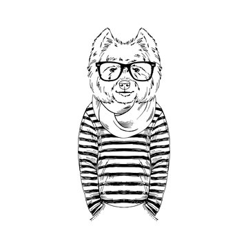 Humanized West Highland white terrier breed dog dressed up in navy outfits. Design for dogs lovers. Fashion anthropomorphic doggy illustration. Animal wear stripy frock, knitted scarf and glasses