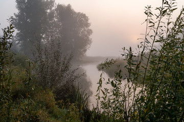 Dolina Górnej Narwi, Mglisty poranek, Narew, Podlasie, Polska © podlaski49