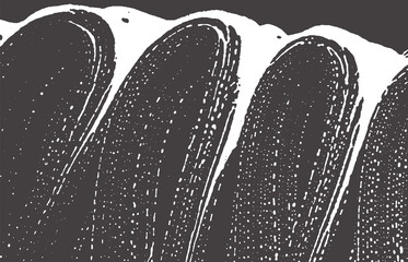 Grunge texture. Distress black grey rough trace. A