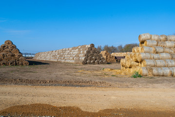 hay harvested for the winter in the barnyard