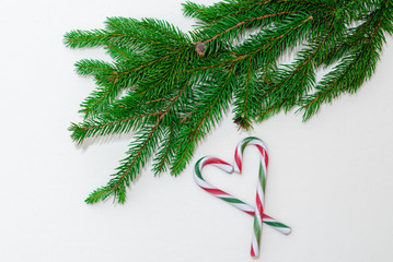 Top view. Heart shape made of candy canes and fir tree twig on white background, top view.