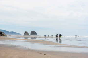 Groups of people walking on the water on the North West coast of the Pacific Ocean with rocks...