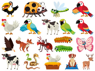 Set of isolated objects theme animals