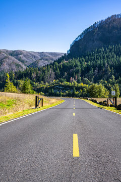 Road in the protected area of the Columbia River Gorge along the riverbank with mountains and trees