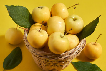 Yellow apples on a yellow background in the basket vitamins, proper nutrition.