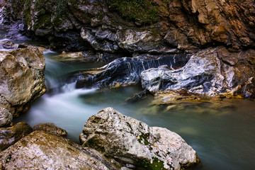 Fototapeta premium Patsos