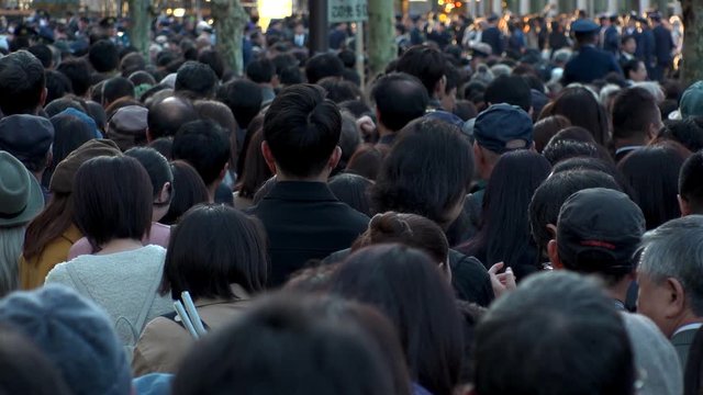 TOKYO, JAPAN - NOVEMBER 2019 : Back shot of unidentified huge crowd of people walking down the street. Japanese people and lifestyle concept. Slow motion shot.