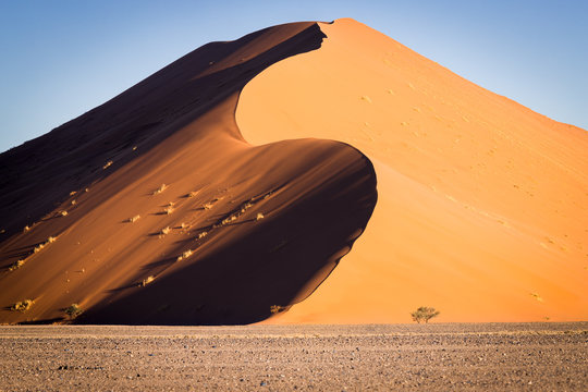 S shaped dune at sunset in Sossusvlei, Namibia.