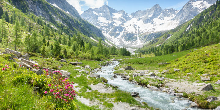 Panorama einer Landschaft mit Wildbach und Gletscher im sommerlichen Zillertal in Tirol &Ouml;sterreich