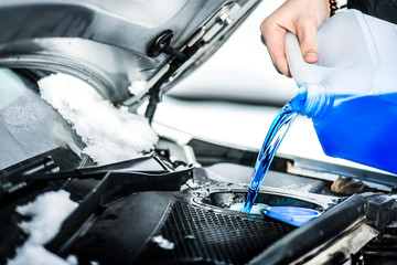 Pouring antifreeze.  Antifreeze liquid for washing car screen. - obrazy, fototapety, plakaty