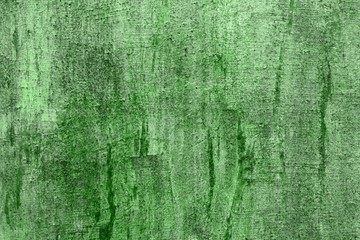 Fototapeta premium green dirty stucco with damaged paint texture - cute abstract photo background