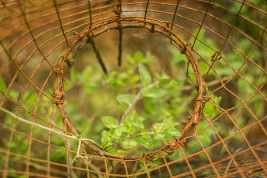 La nature s'&eacute;chappe