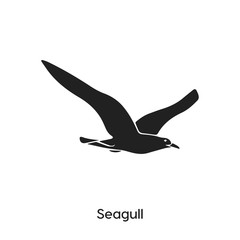 seagull icon vector symbol sign